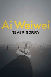 Ai Weiwei: Never Sorry poster