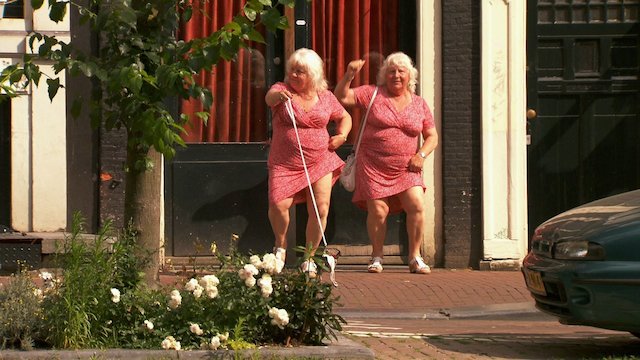 Watch Meet the Fokkens Online