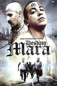 Destino Mara