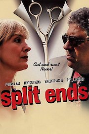 Split Ends poster