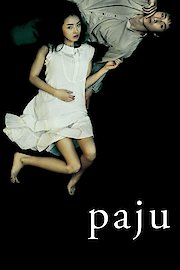 Paju poster