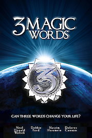 3 Magic Words poster