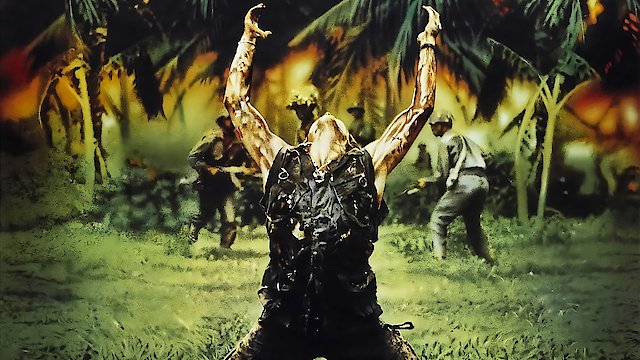 Watch Platoon Online