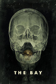 The Bay poster