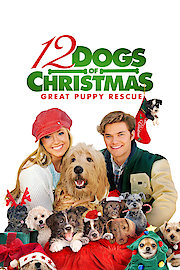 12 Dogs of Christmas: Great Puppy Rescue poster