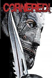 Cornered! poster