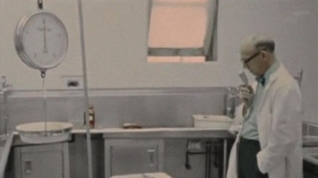Watch The Act of Seeing with One's Own Eyes Online