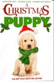 Christmas Puppy poster