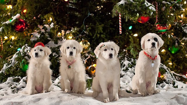 Watch Santa Paws 2: The Santa Pups Online