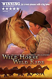 Wild Horse Wild Ride poster