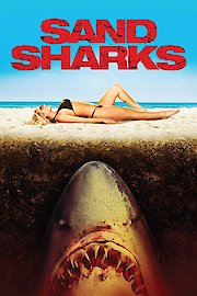 Sand Sharks poster