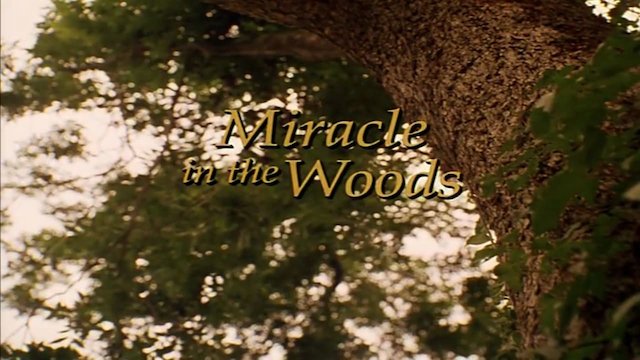 Watch Miracle in the Woods Online