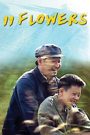 11 Flowers poster