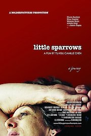 Little Sparrows poster