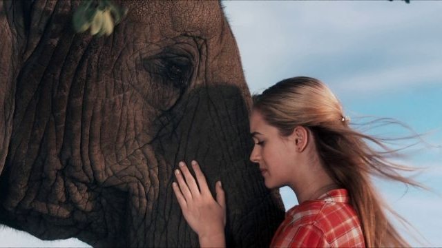 Watch Sophie and Sheba Online