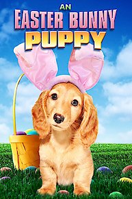 An Easter Bunny Puppy