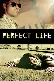 Perfect Victims poster