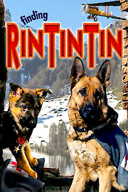 Finding Rin Tin Tin poster