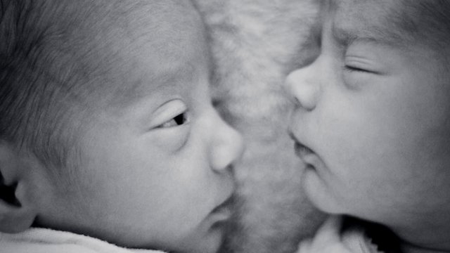 Watch Creating Freedom: The Lottery of Birth Online