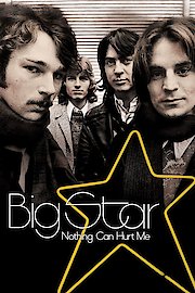 Big Star: Nothing Can Hurt Me