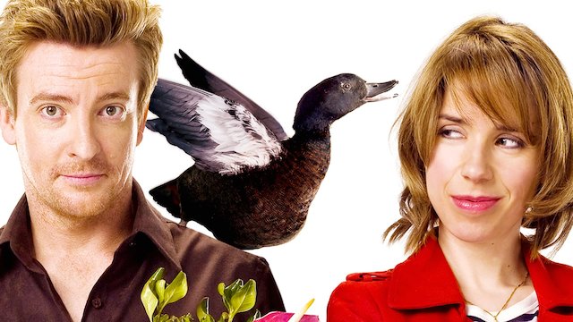 Watch Love Birds Online