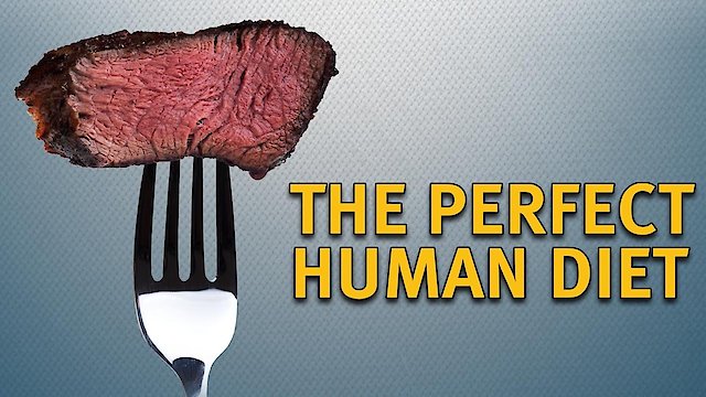 Watch The Perfect Human Diet Online