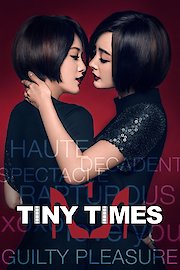 Tiny Times 1.0 poster