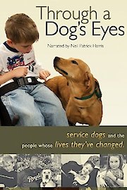Through a Dog's Eyes poster
