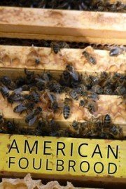 American Foulbrood