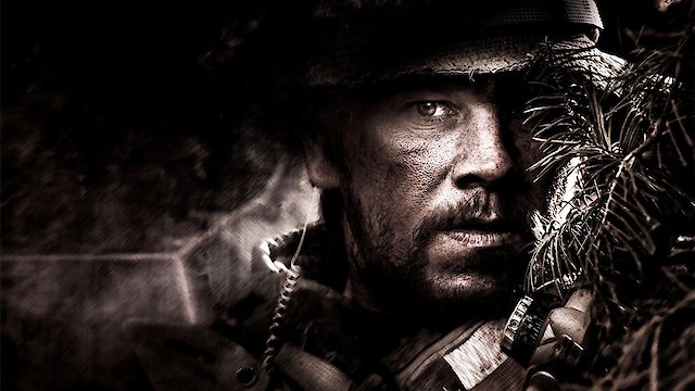 Watch Lone Survivor Online