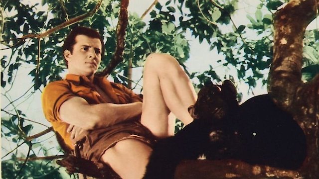 Watch Tarzan and the Green Goddess Online