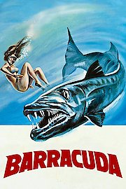 Barracuda poster