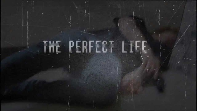 Watch A Perfect Life Online