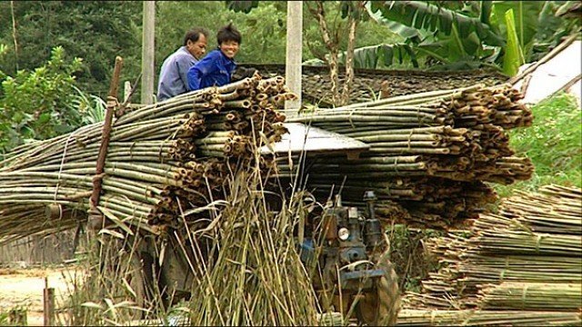 Watch Trout Grass Online
