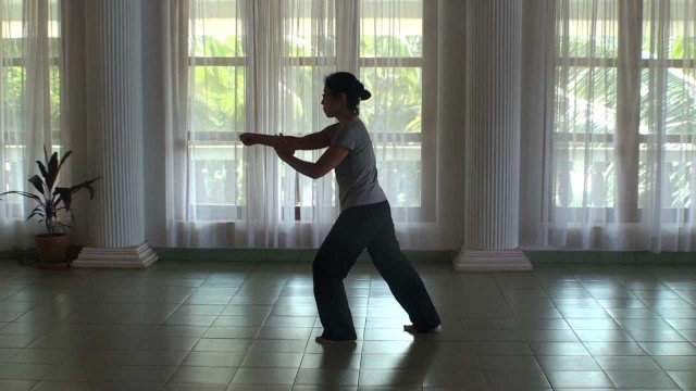 Watch Tai Chi Fundamentals for Beginners Online