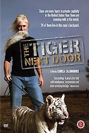 The Tiger Next Door