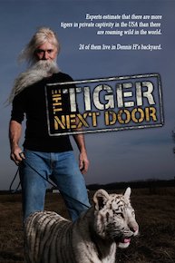 The Tiger Next Door