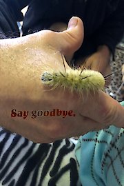 Say Goodbye poster