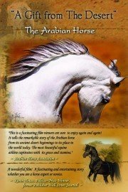 The Arabian Horse: A Gift from the Desert
