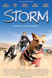 Storm poster