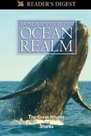 Wondrous Secrets of the Ocean Realm: The Great Whales & Sharks