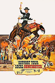 Support Your Local Gunfighter poster