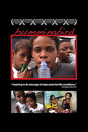 Hummingbird poster