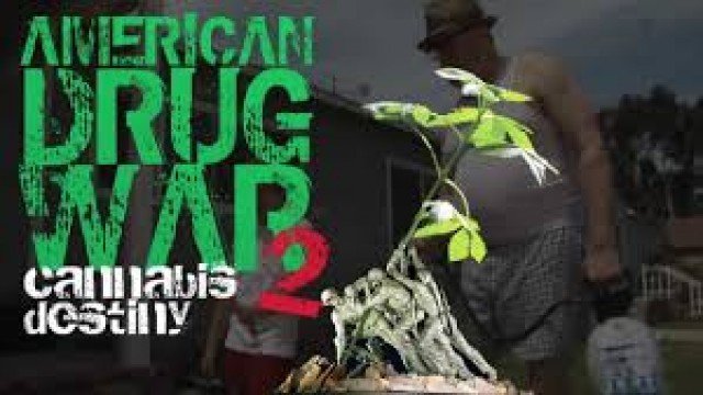 Watch American Drug War 2: Cannabis Destiny Online