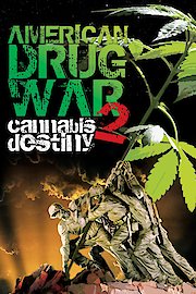 American Drug War 2: Cannabis Destiny poster