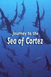 Journey to the Sea of Cortez