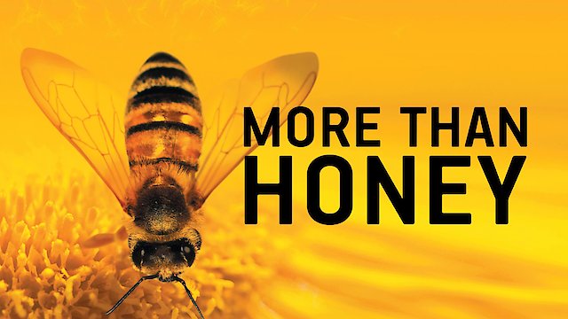 Watch More than Honey Online