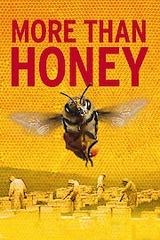 More than Honey poster
