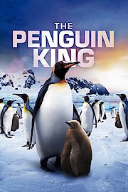 Adventures of the Penguin King 3D poster
