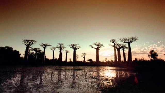 Watch The Greatest Places: IMAX Online